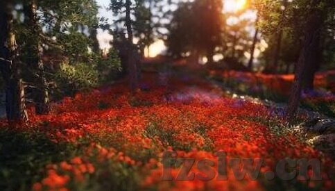 大象传媒2021精品-2021年大象传媒精品，创意与品质的双重飞跃