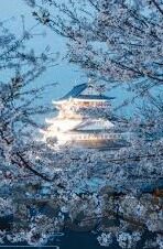 国产日韩av一区二区三区-国产日韩AV的多元化探索与文化交融