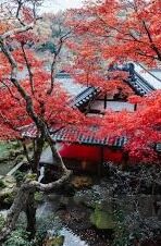 果冻传媒制片厂免费观看-探索果冻传媒制片厂，免费观影的数字乐园
