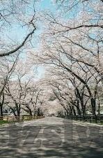 日韩av播放-日韩AV播放，文化差异与观赏体验的深度剖析