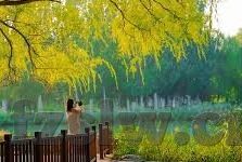 糖心vlog可爱兔洛丽塔-糖心vlog，洛丽塔的萌系踪迹——与可爱兔的浪漫邂逅