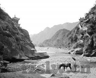 糖心直播app_免费下载-